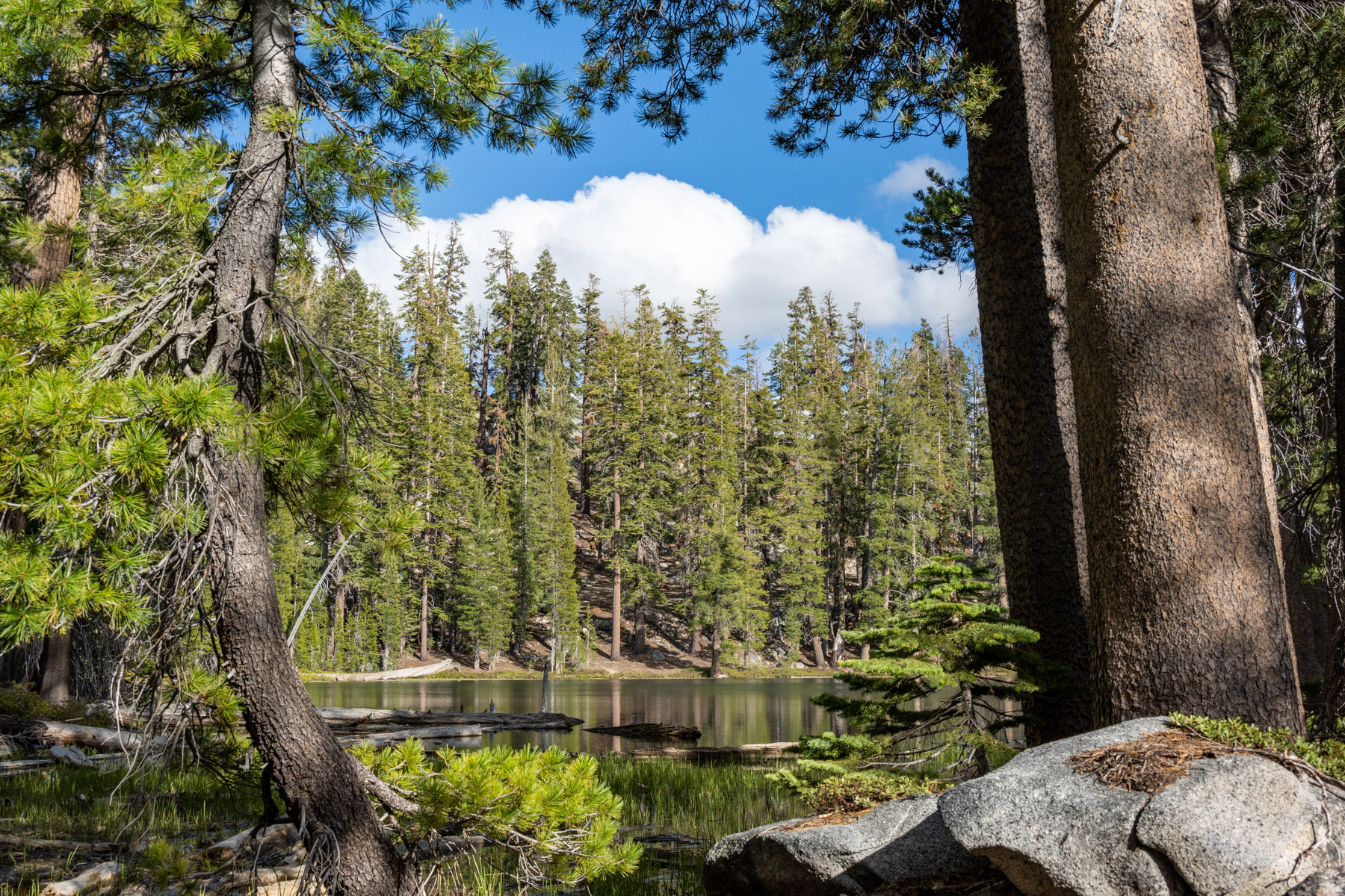 Hidden Lake